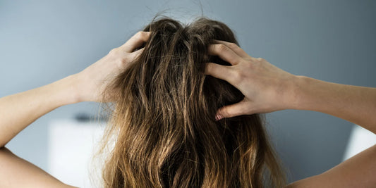 DAMAGED HAIR | HOW TO REPAIR AND PREVENT